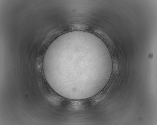 X0000091970701200709271407