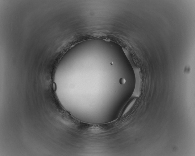 X0000091970704200709271407