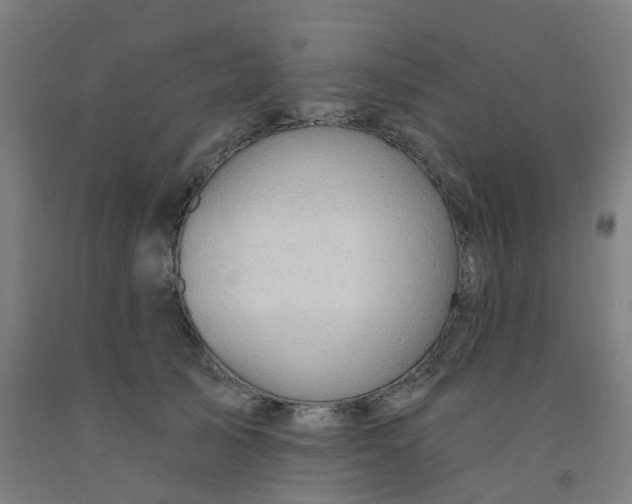 X0000091970705200709271407