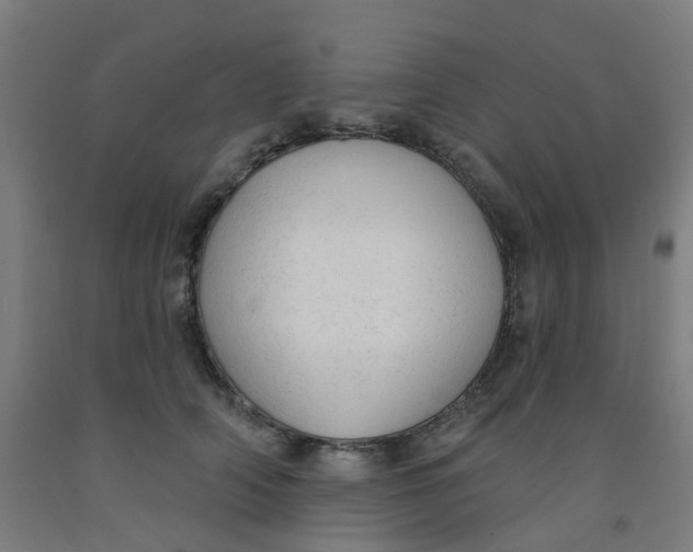 X0000091970706200709271407