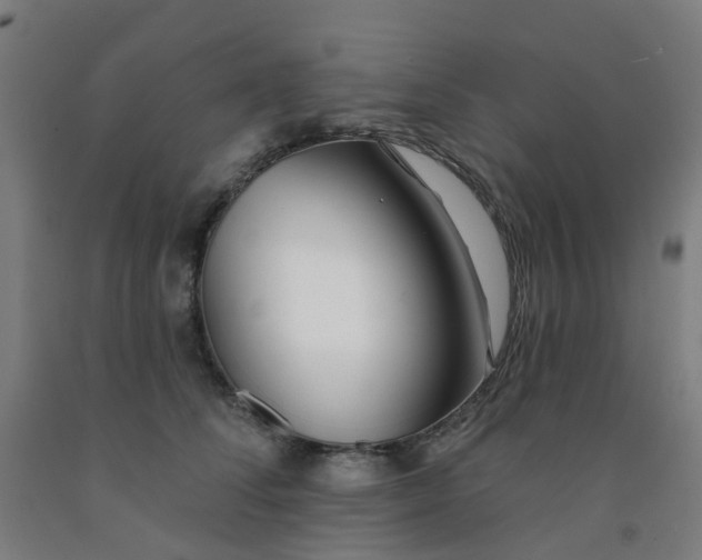 X0000091970708200709271407