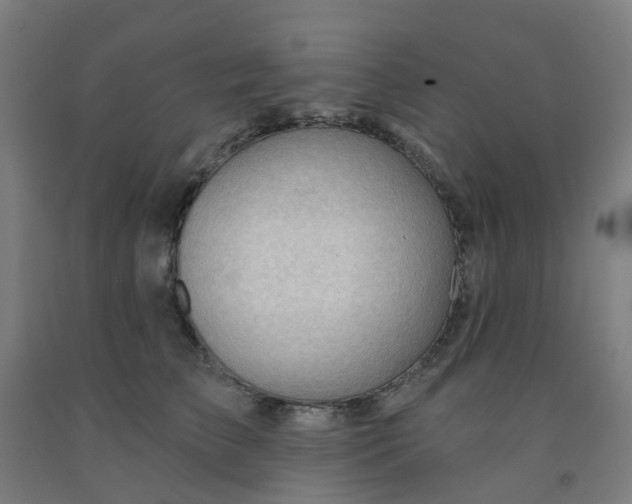 X0000091970709200709271407