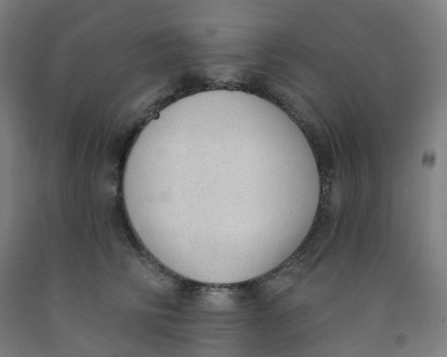 X0000091970710200709271407
