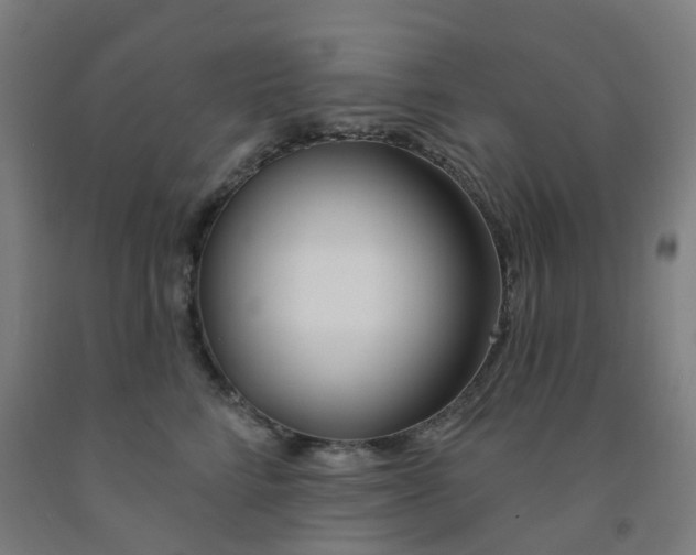 X0000091970712200709271407