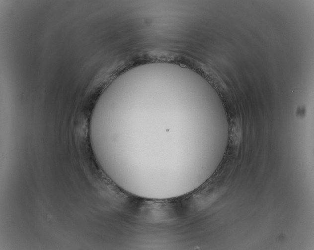 X0000091970713200709271407
