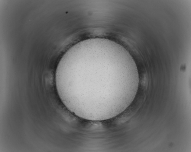 X0000091970715200709271407