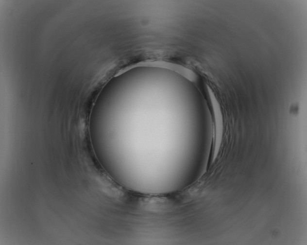 X0000091970716200709271407