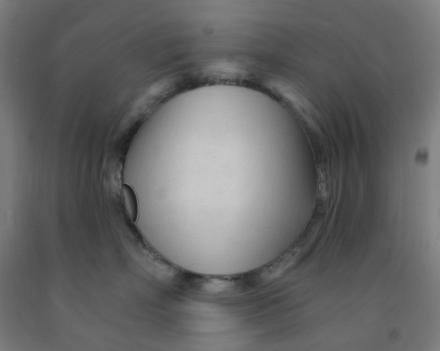 X0000091970718200709271407