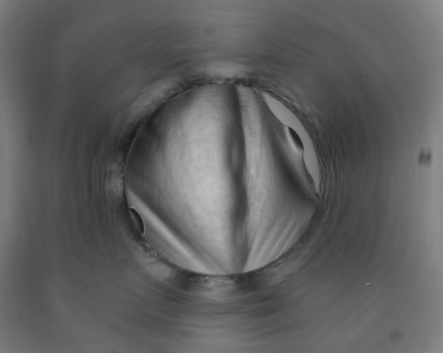 X0000091970719200709271407