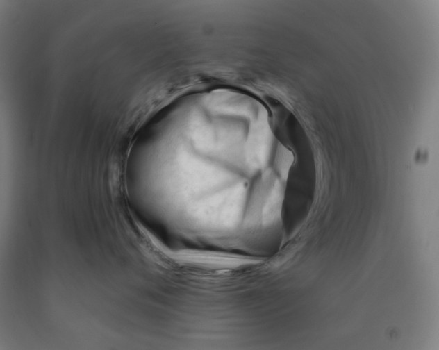 X0000091970720200709271407