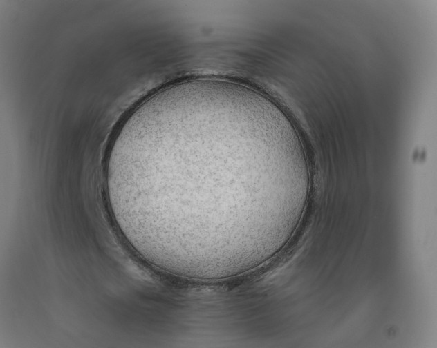 X0000091970721200709271406