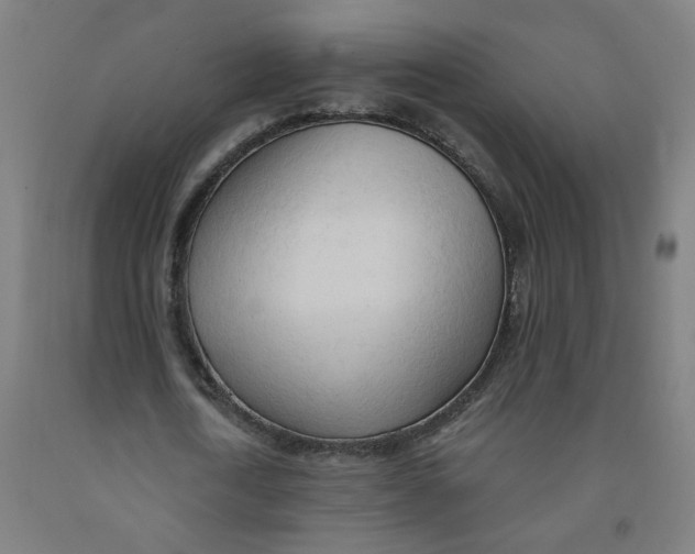 X0000091970722200709271406