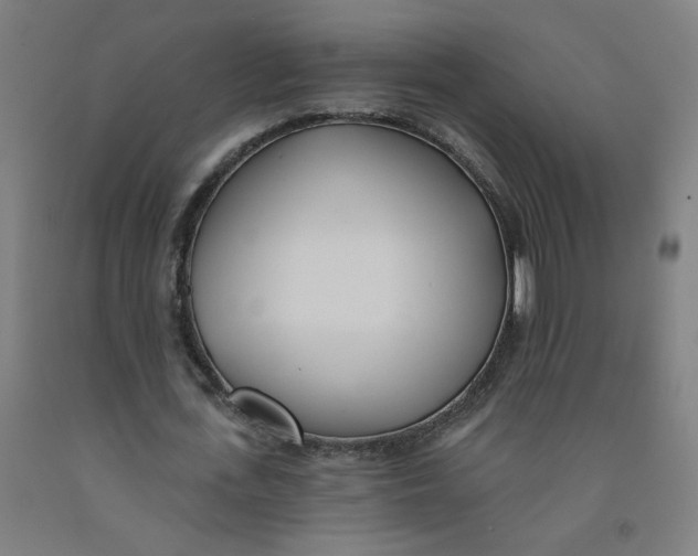 X0000091970723200709271406