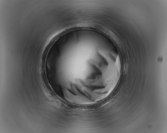 X0000091970724200709271406
