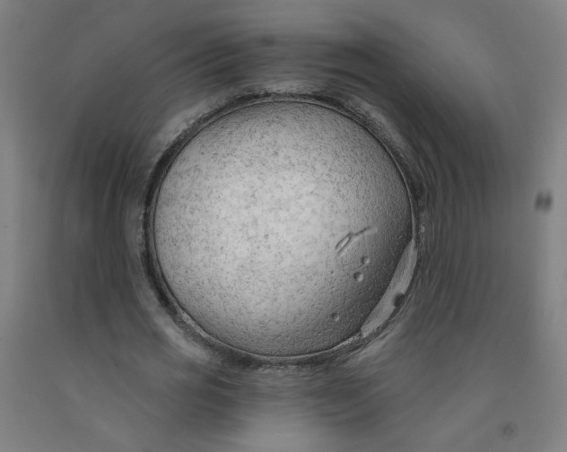 X0000091970725200709271406