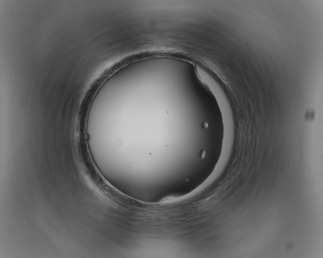 X0000091970726200709271406