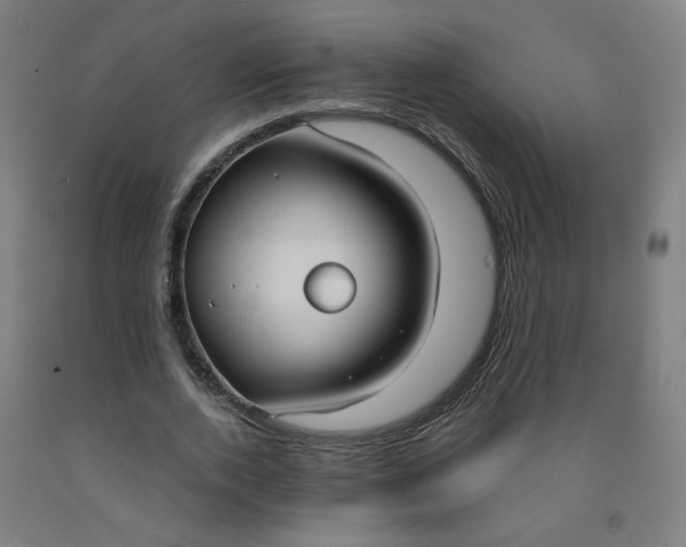 X0000091970728200709271406