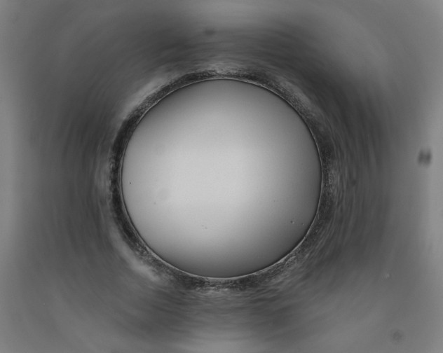 X0000091970730200709271406
