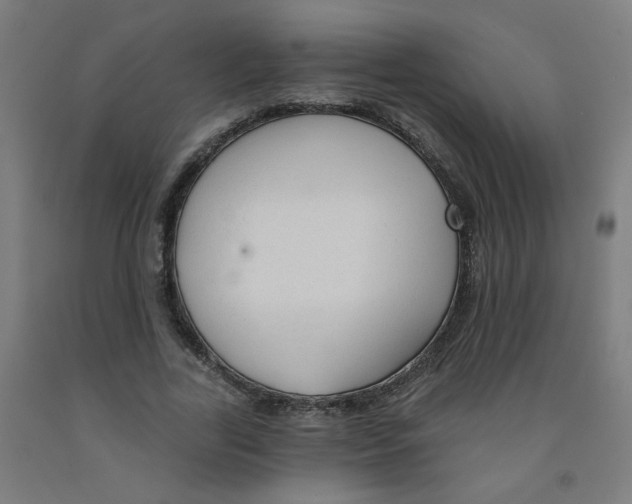 X0000091970731200709271406
