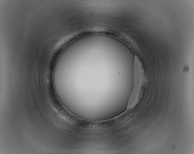 X0000091970732200709271406
