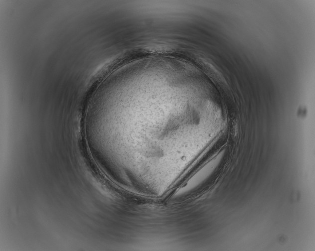 X0000091970733200709271406