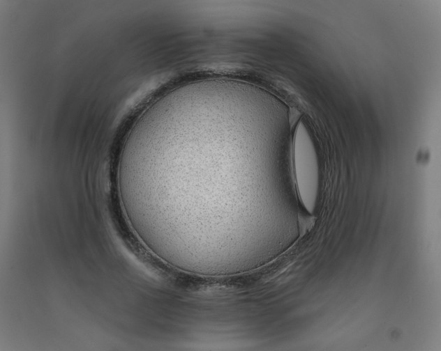 X0000091970734200709271406