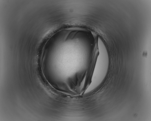 X0000091970735200709271406
