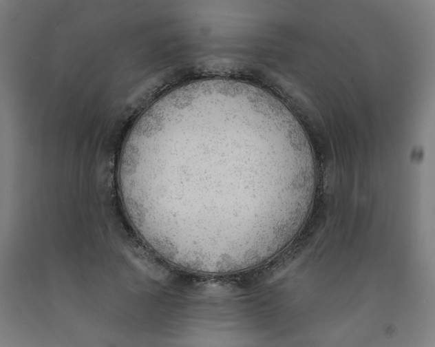 X0000091970737200709271406