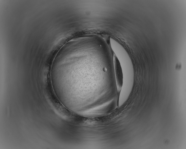 X0000091970742200709271406
