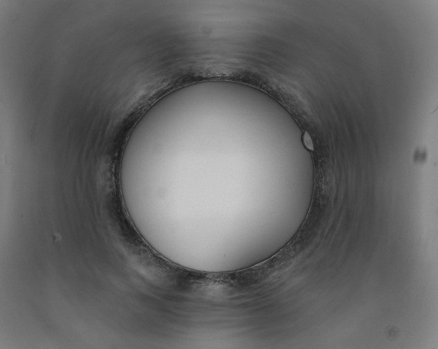 X0000091970743200709271406