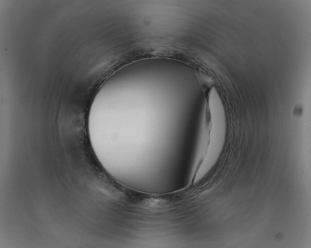 X0000091970748200709271407