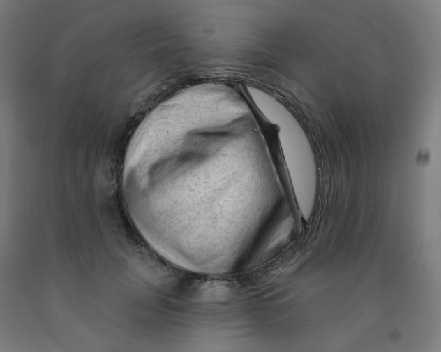 X0000091970751200709271407