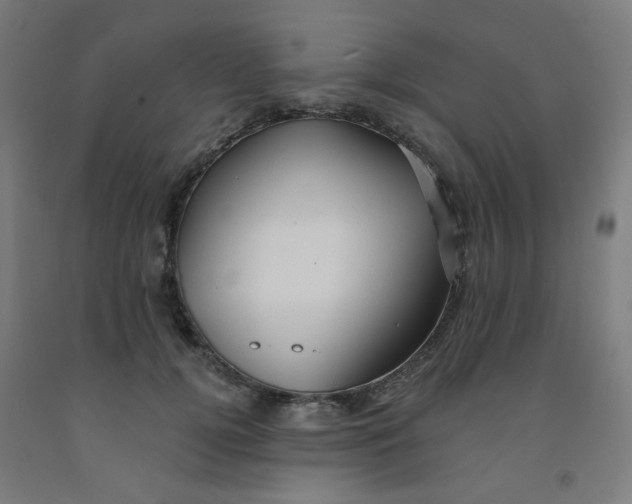 X0000091970752200709271407
