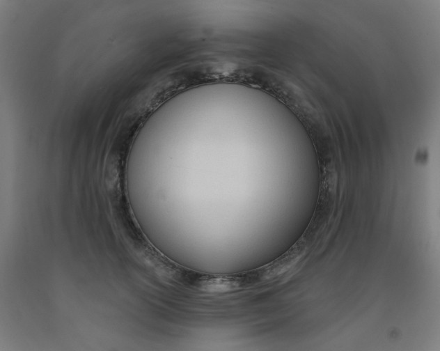X0000091970754200709271407
