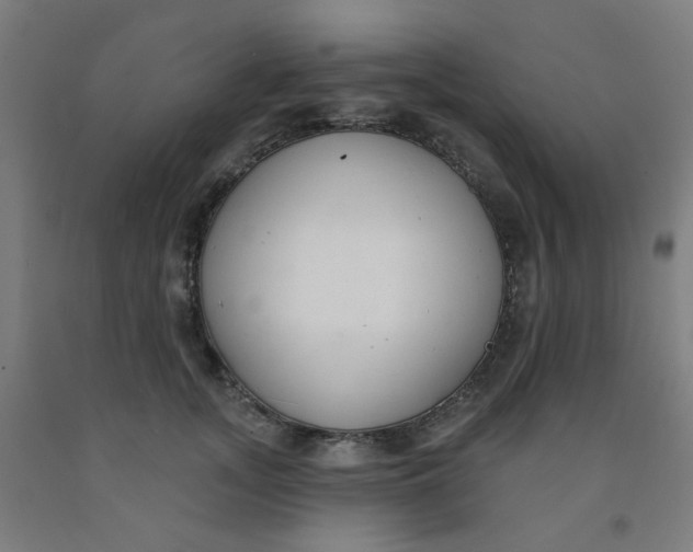 X0000091970755200709271407