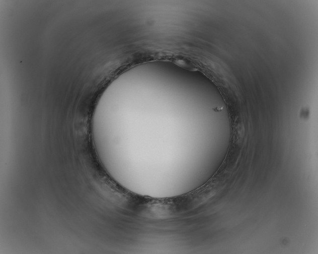 X0000091970756200709271407