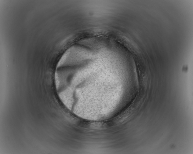 X0000091970757200709271407