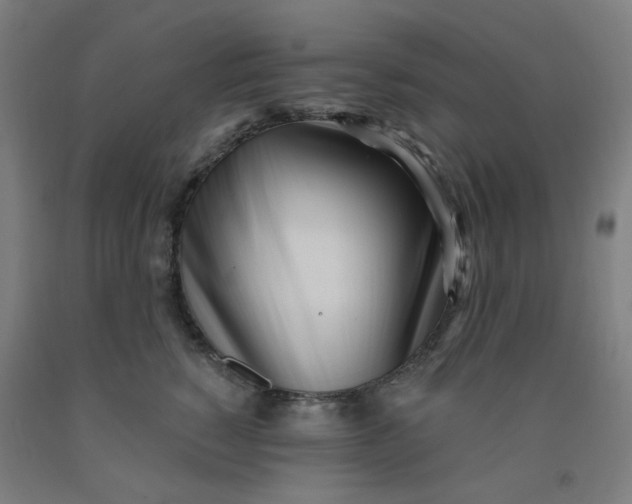 X0000091970760200709271407