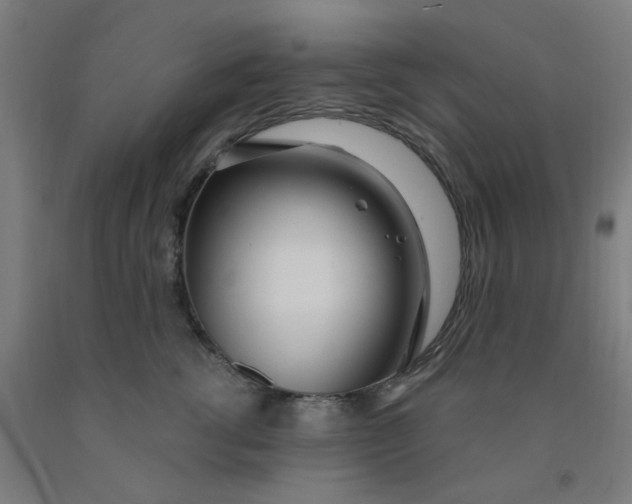 X0000091970762200709271407