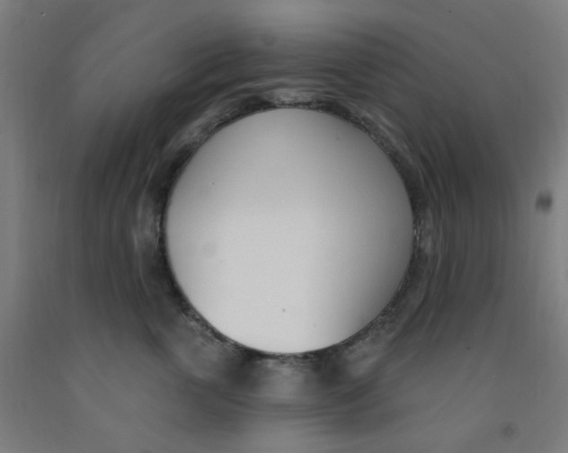 X0000091970763200709271407