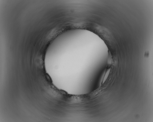 X0000091970764200709271407