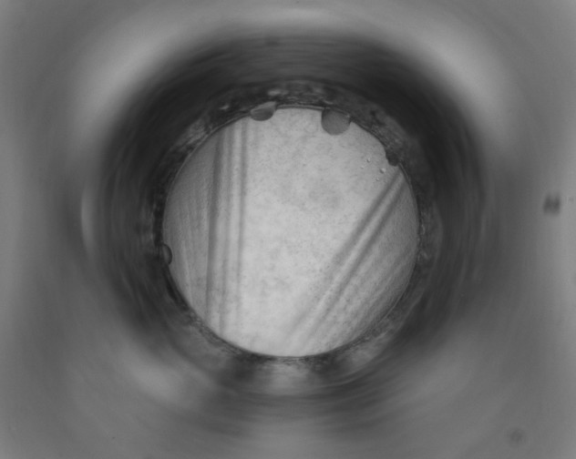 X0000091970765200709271407