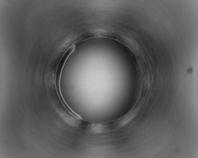 X0000091970766200709271407