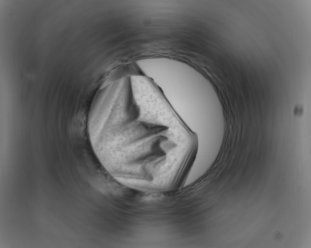 X0000091970767200709271407