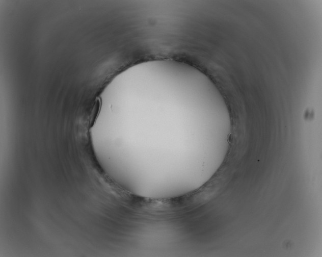 X0000091970768200709271407