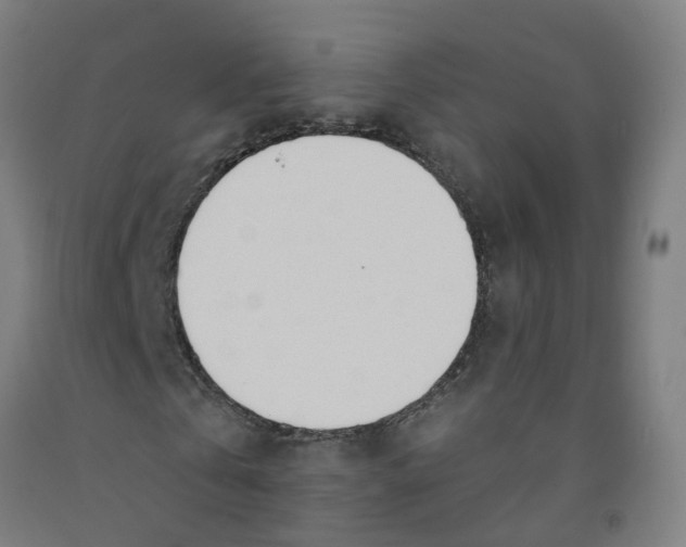 X0000091970769200709271406