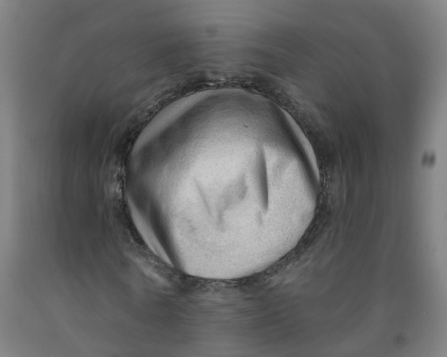 X0000091970770200709271406