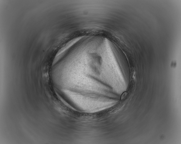 X0000091970771200709271406