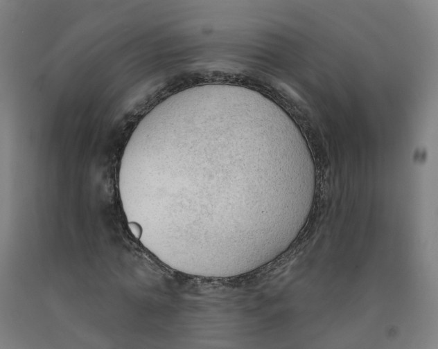 X0000091970774200709271406