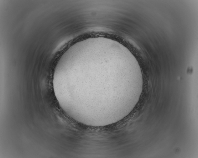 X0000091970775200709271406
